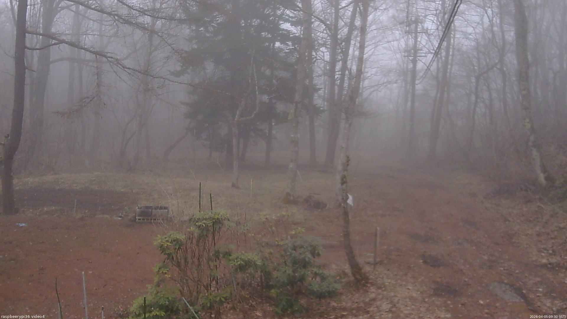 長野県菅平高原 ゆたか山荘 坂上 2026/04/05 09:30