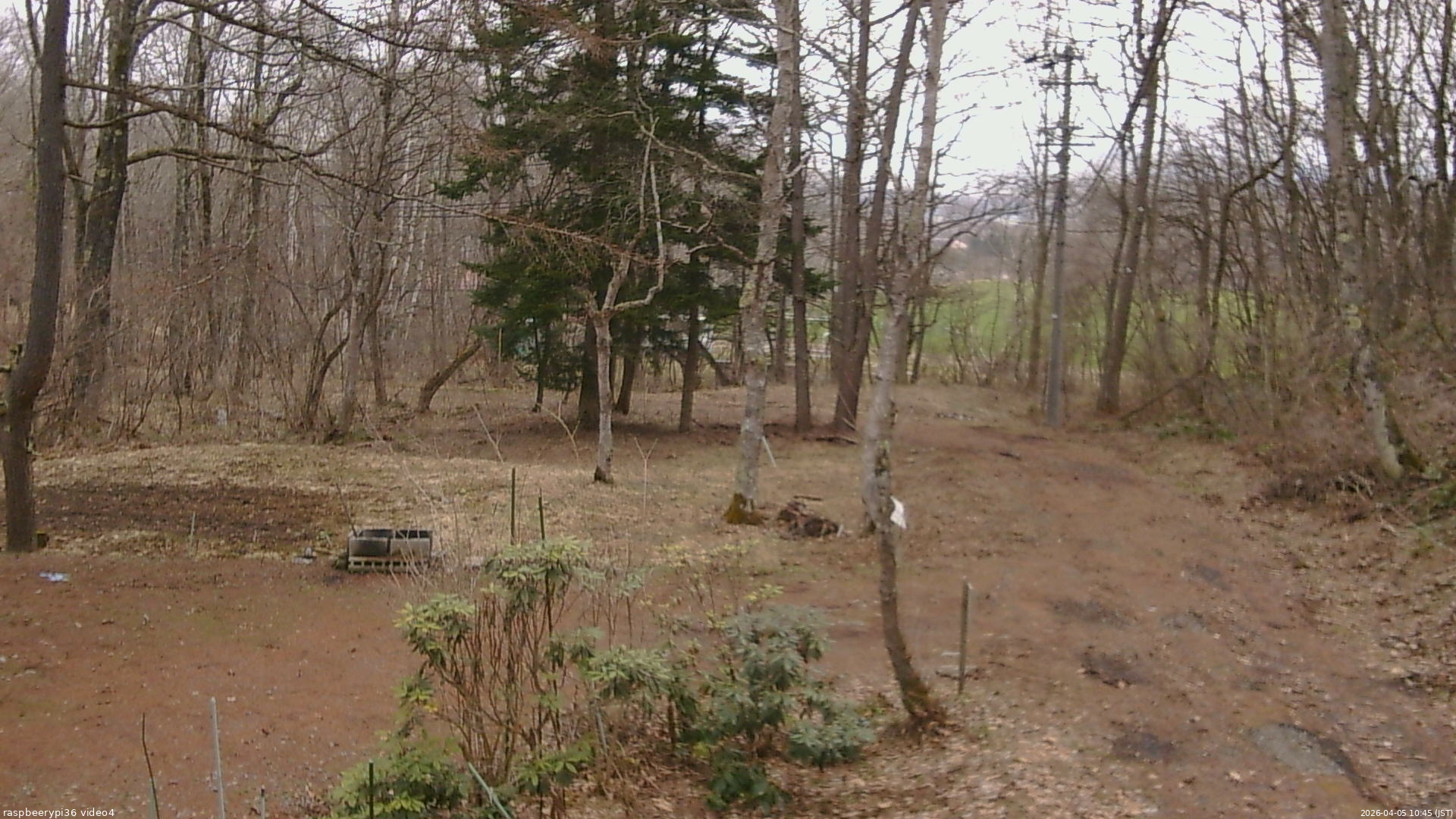 長野県菅平高原 ゆたか山荘 坂上 2026/04/05 10:45