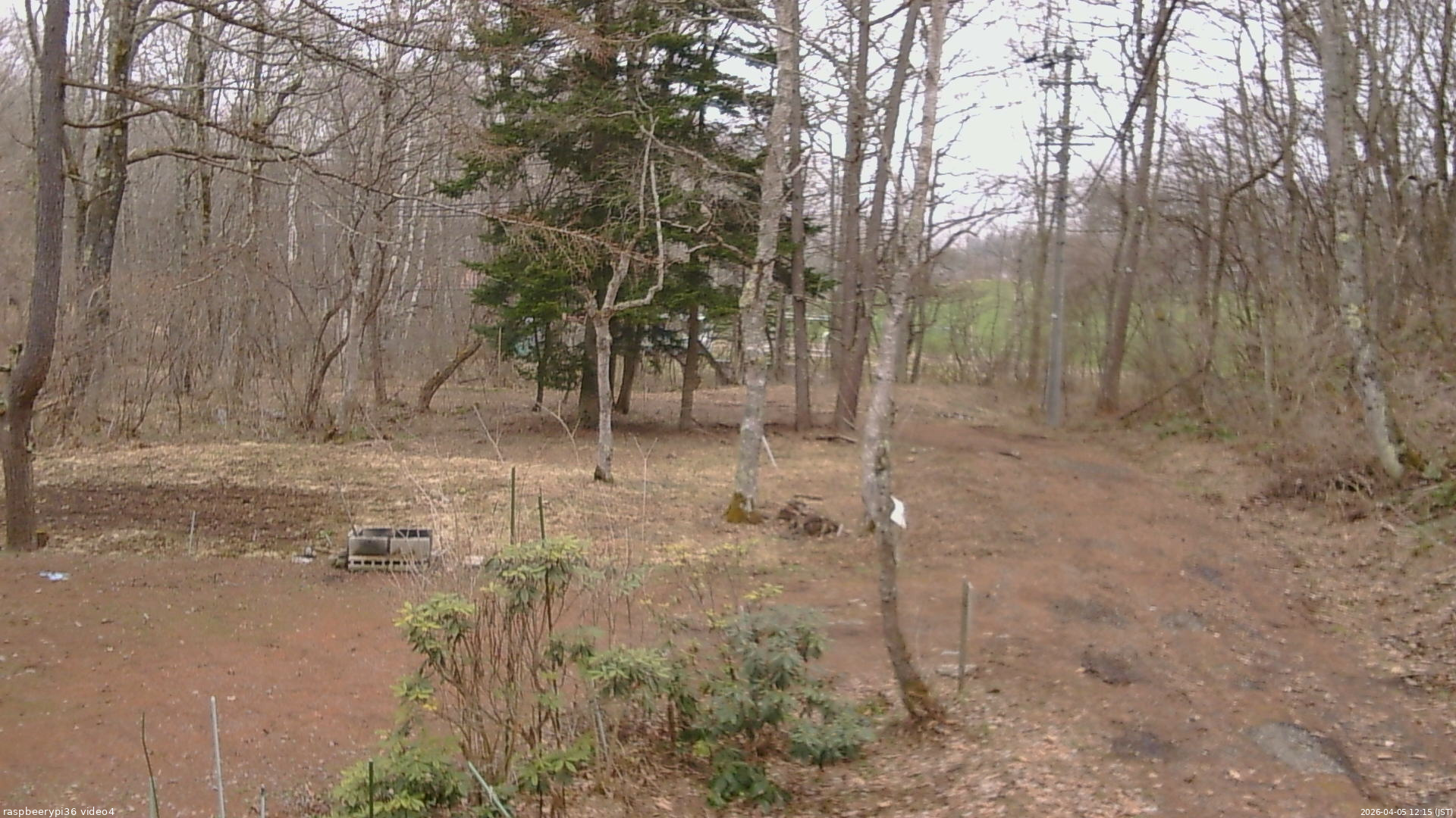 長野県菅平高原 ゆたか山荘 坂上 2026/04/05 12:15
