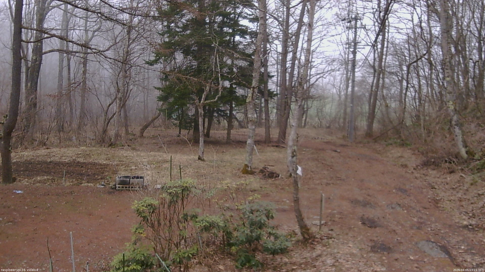 長野県菅平高原 ゆたか山荘 坂上 2026/04/05 13:15