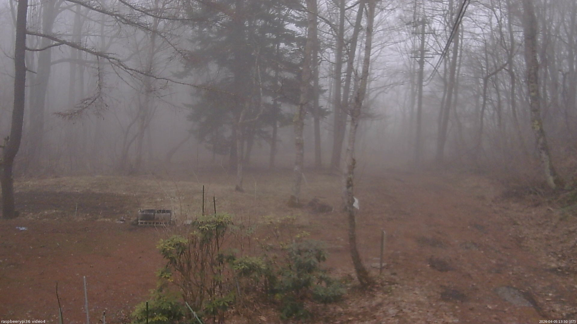 長野県菅平高原 ゆたか山荘 坂上 2026/04/05 13:30