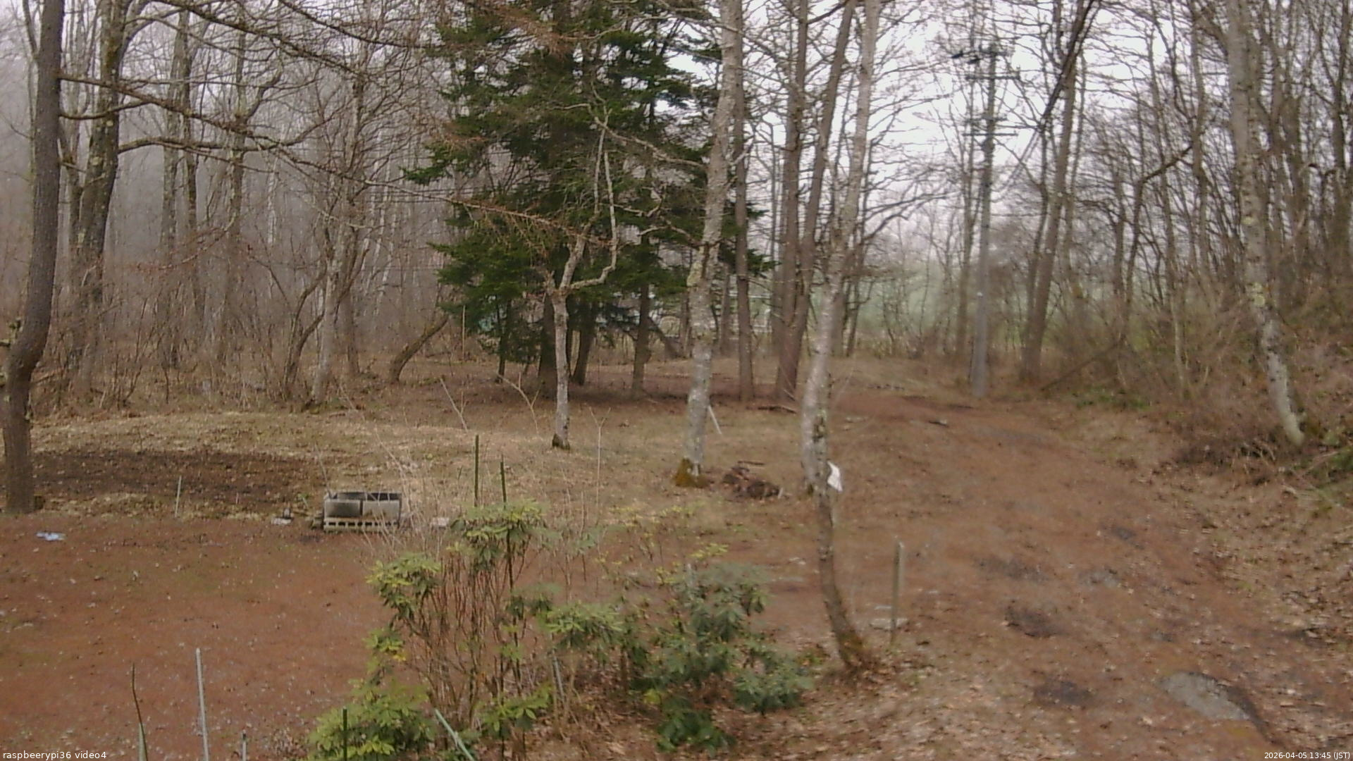 長野県菅平高原 ゆたか山荘 坂上 2026/04/05 13:45