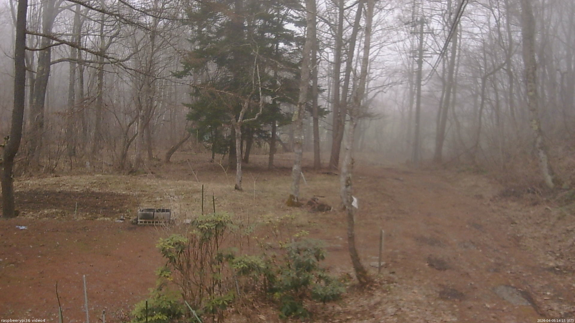 長野県菅平高原 ゆたか山荘 坂上 2026/04/05 14:15
