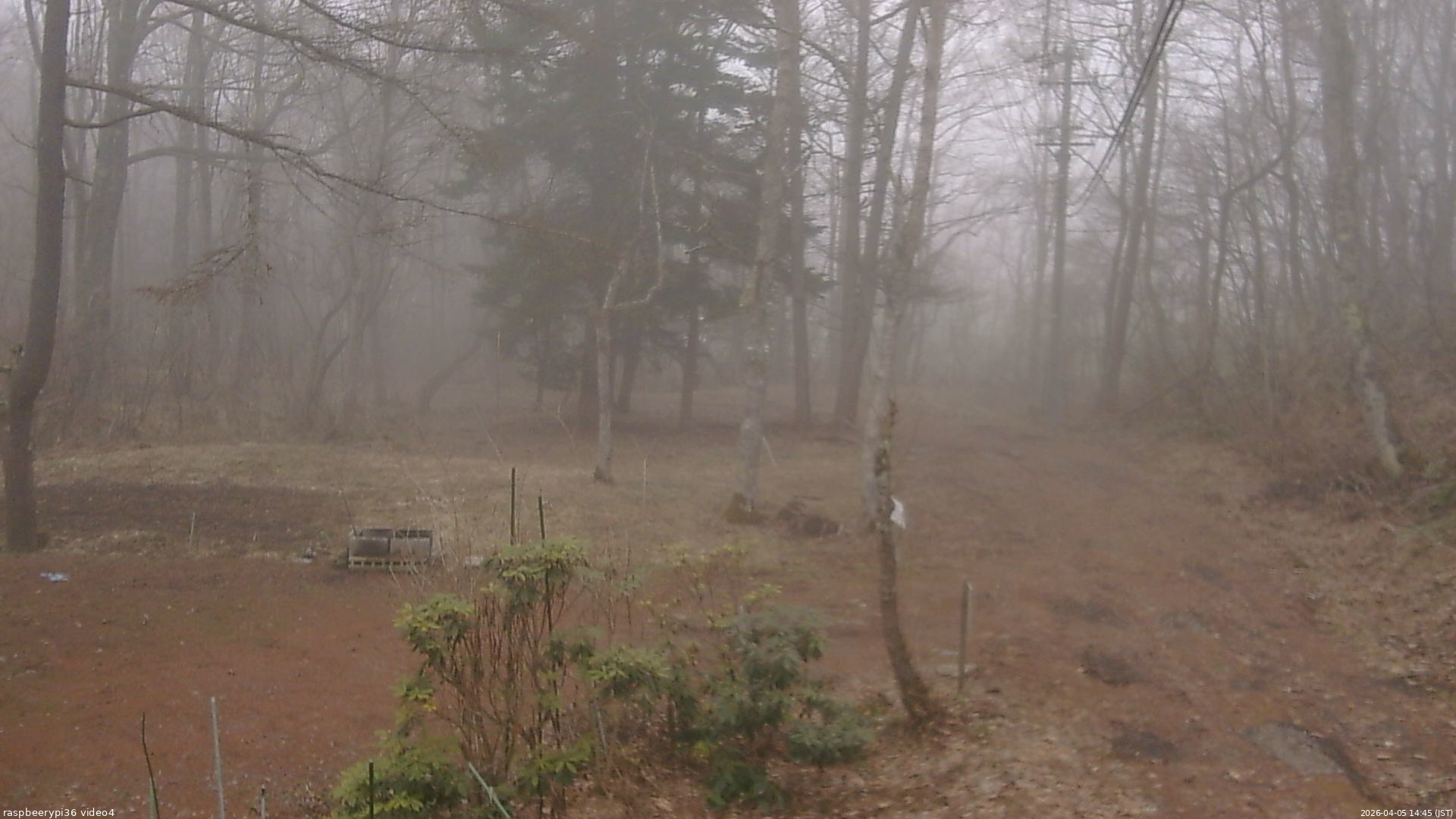 長野県菅平高原 ゆたか山荘 坂上 2026/04/05 14:45