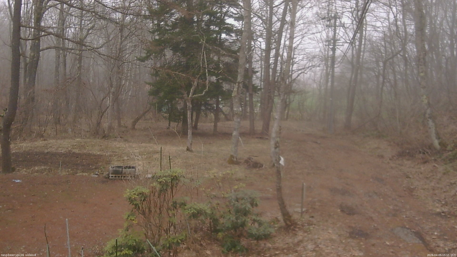 長野県菅平高原 ゆたか山荘 坂上 2026/04/05 15:15