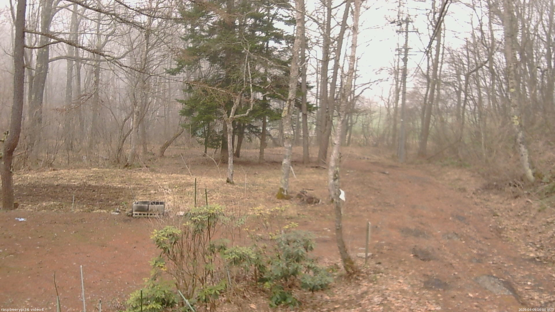 長野県菅平高原 ゆたか山荘 坂上 2026/04/05 16:00
