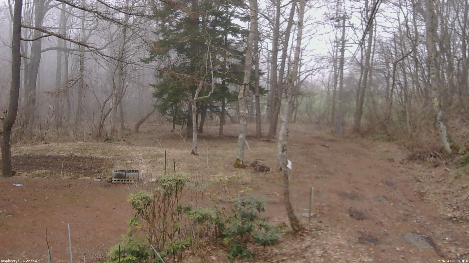 長野県菅平高原 ゆたか山荘 坂上 2026/04/05 16:30