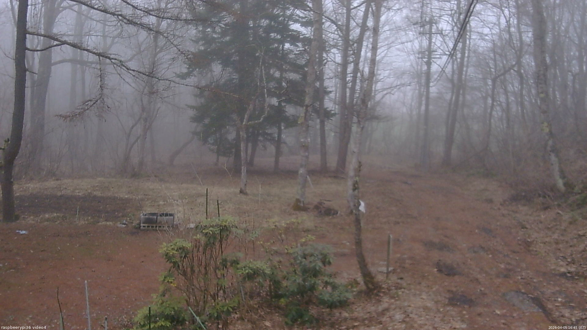 長野県菅平高原 ゆたか山荘 坂上 2026/04/05 16:45