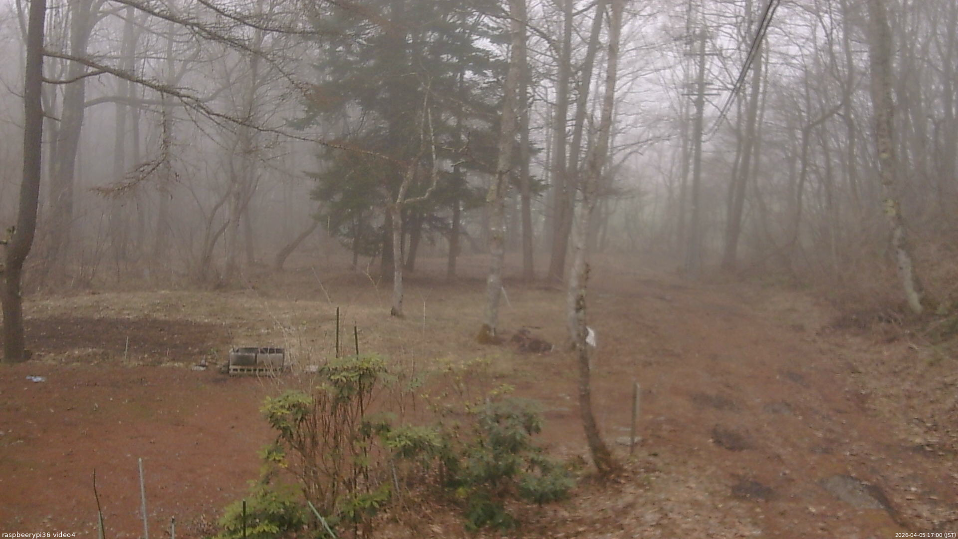 長野県菅平高原 ゆたか山荘 坂上 2026/04/05 17:00