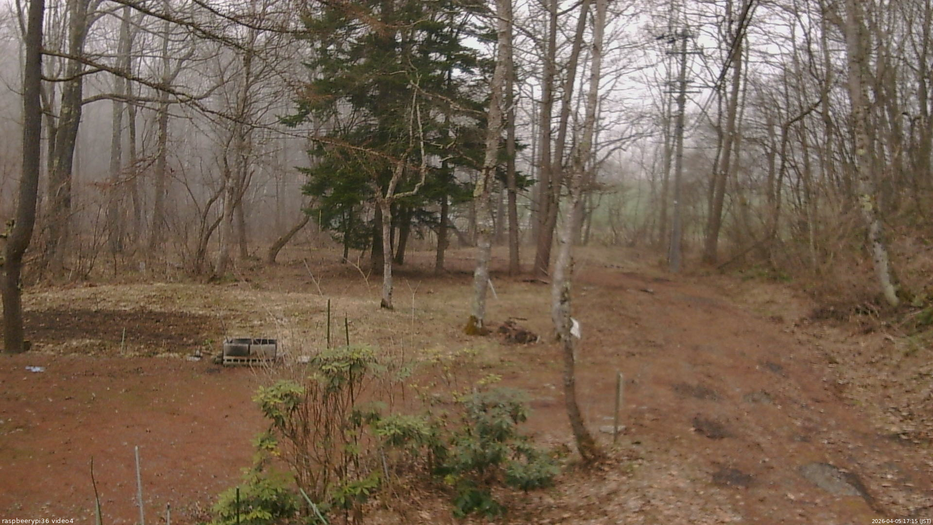 長野県菅平高原 ゆたか山荘 坂上 2026/04/05 17:15