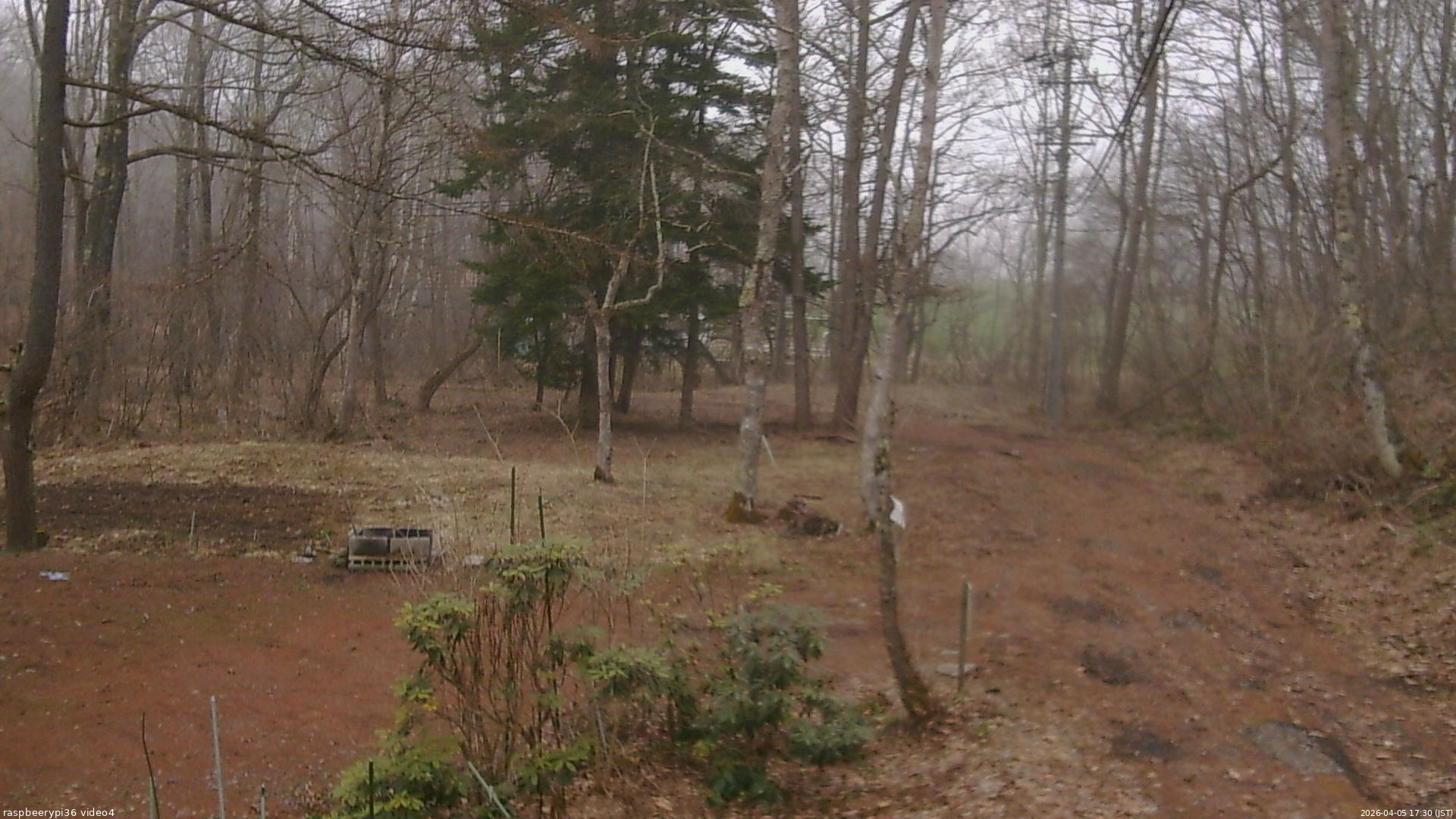 長野県菅平高原 ゆたか山荘 坂上 2026/04/05 17:30