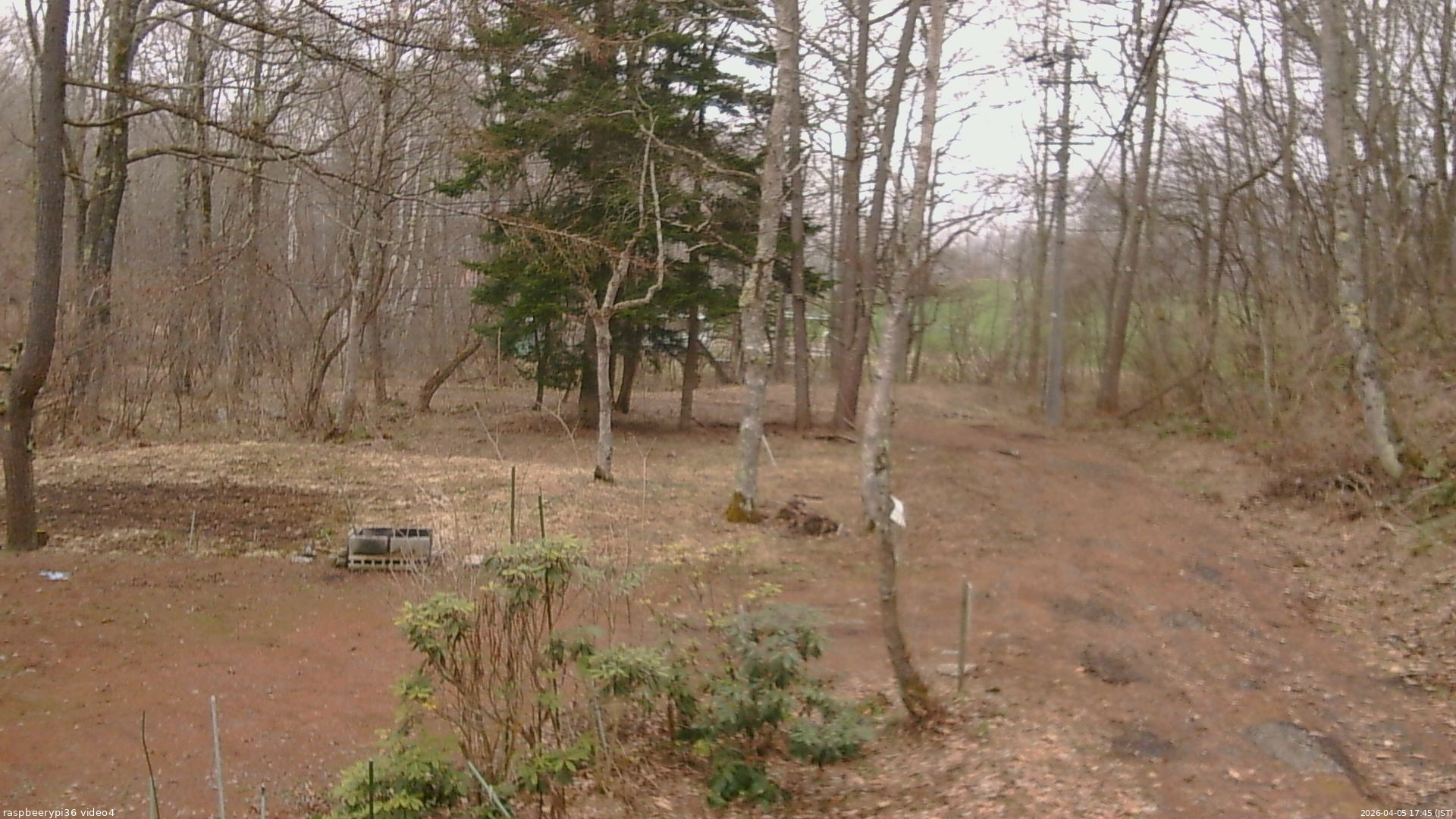 長野県菅平高原 ゆたか山荘 坂上 2026/04/05 17:45