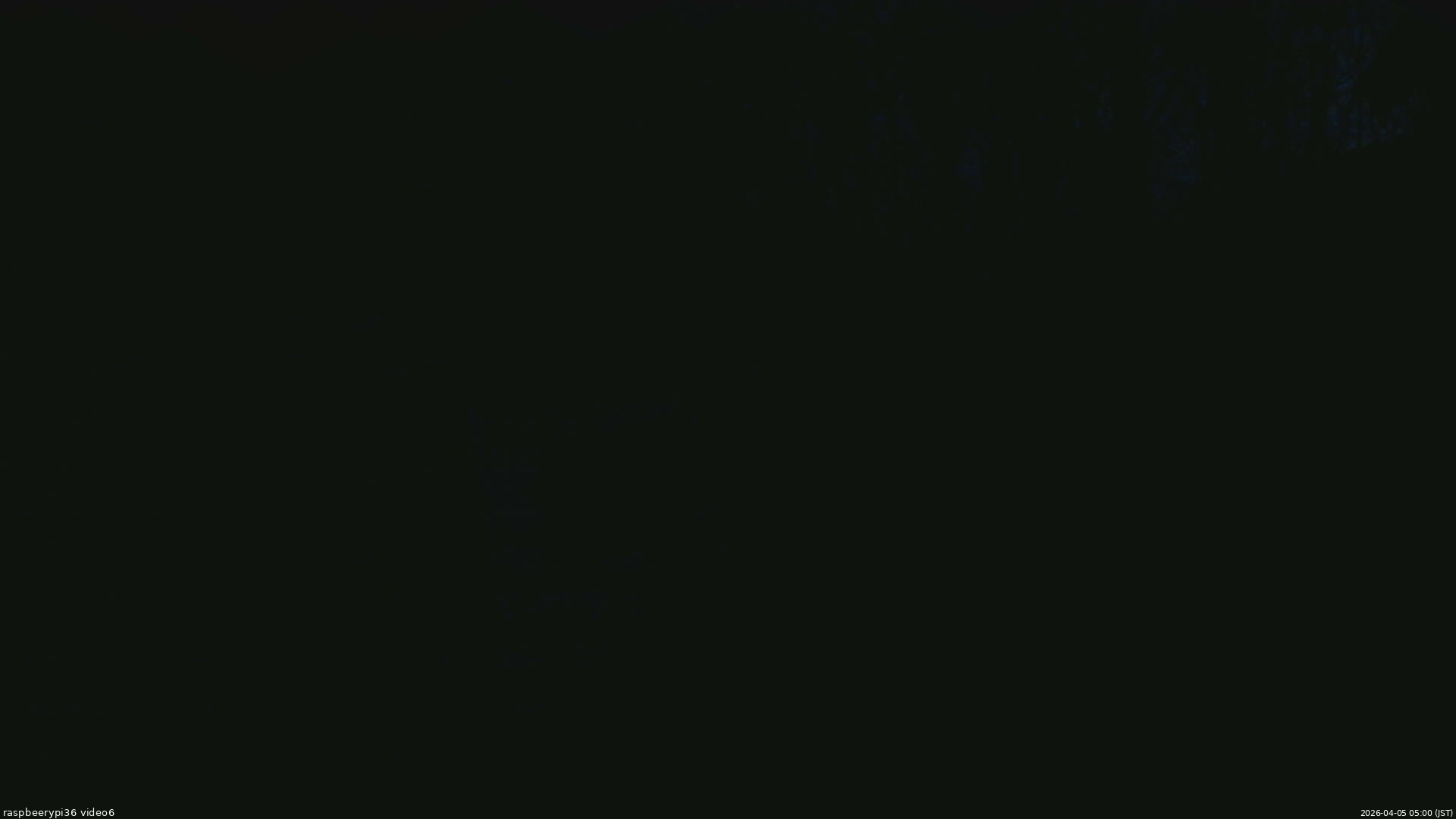 長野県菅平高原 ゆたか山荘 坂下 2026/04/05 05:00