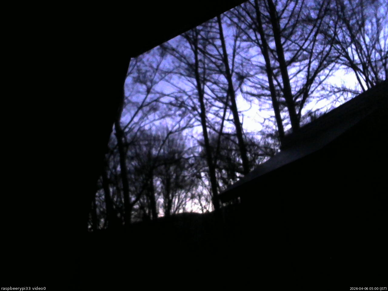 長野県菅平高原 ゆたか山荘 北側 2026/04/06 05:00