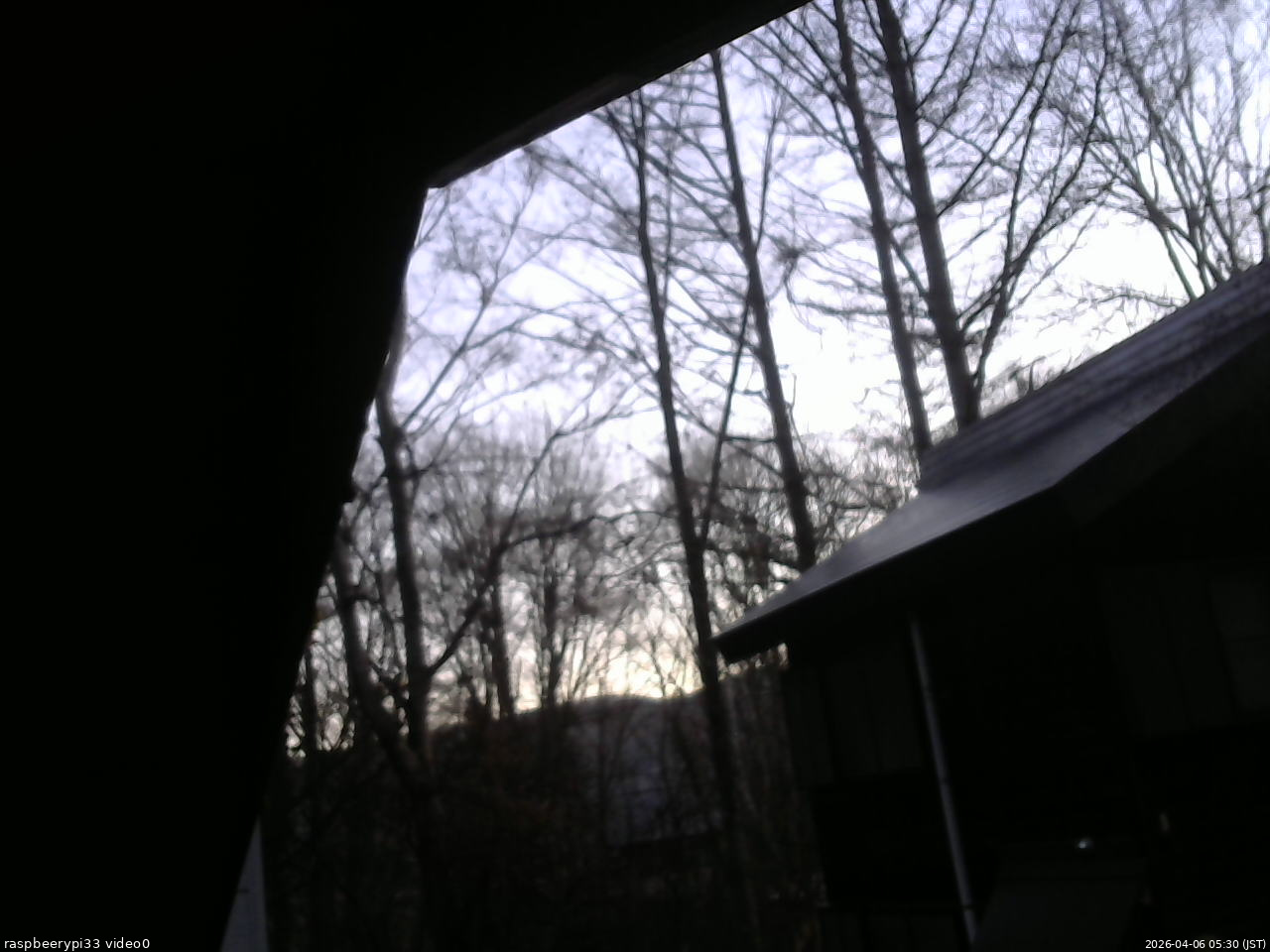 長野県菅平高原 ゆたか山荘 北側 2026/04/06 05:30