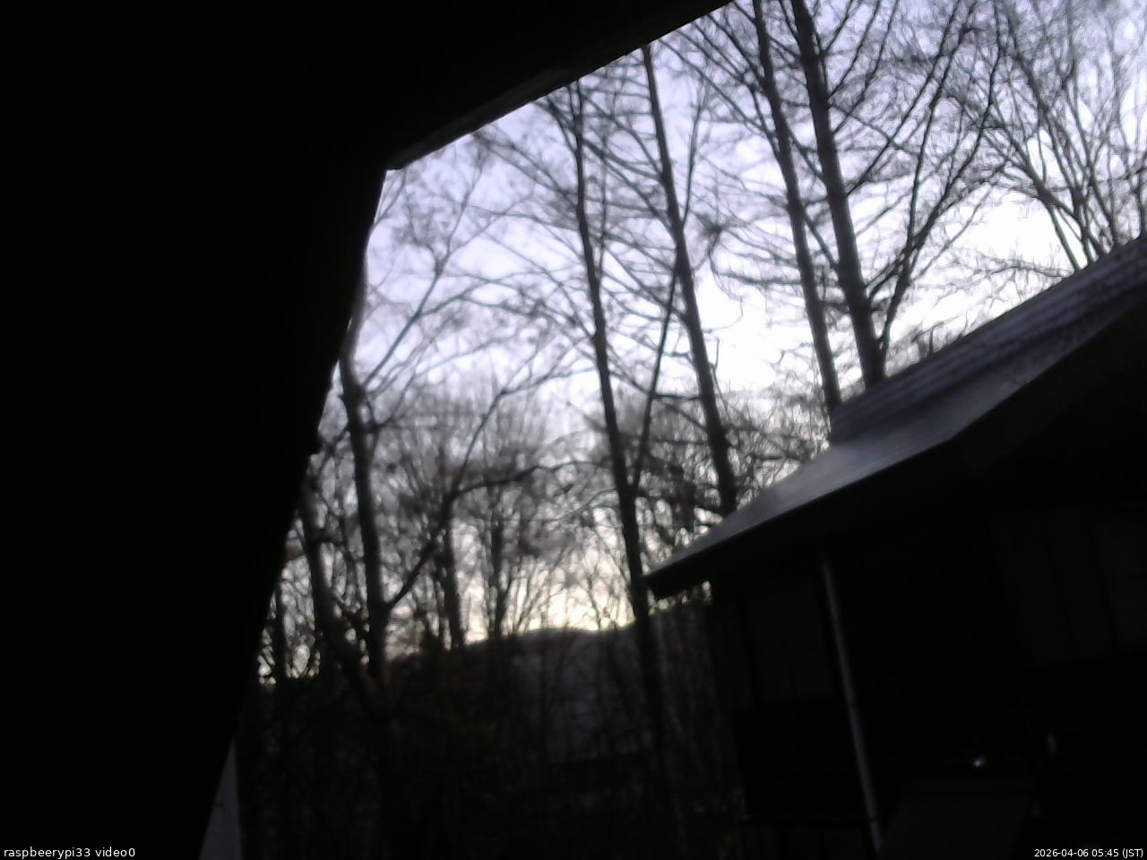 長野県菅平高原 ゆたか山荘 北側 2026/04/06 05:45