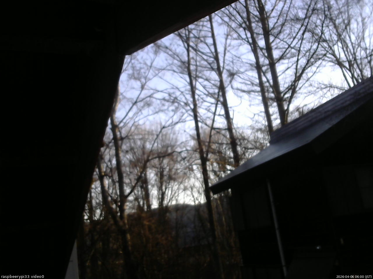 長野県菅平高原 ゆたか山荘 北側 2026/04/06 06:00