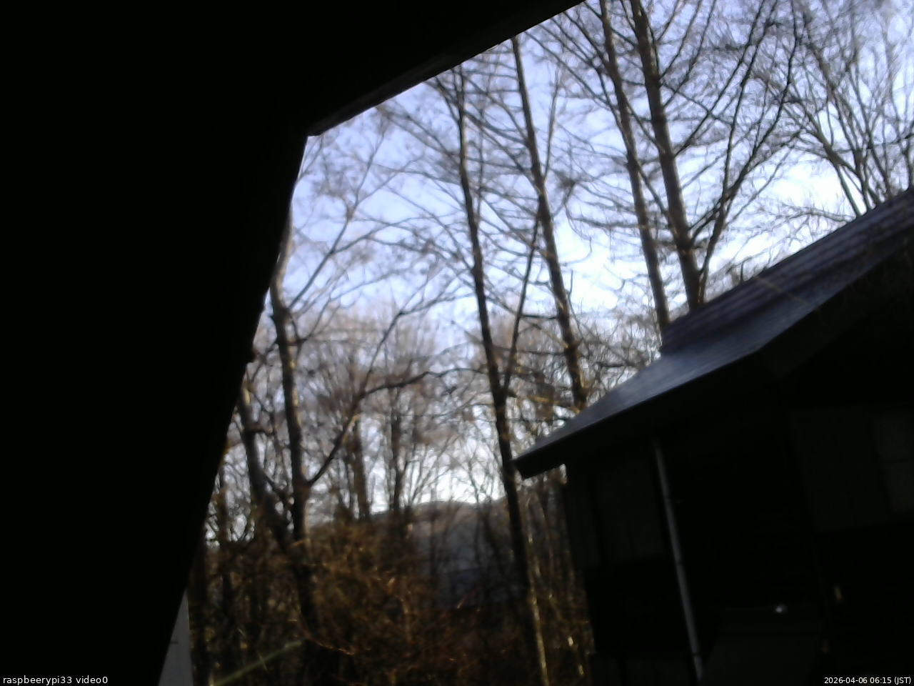 長野県菅平高原 ゆたか山荘 北側 2026/04/06 06:15