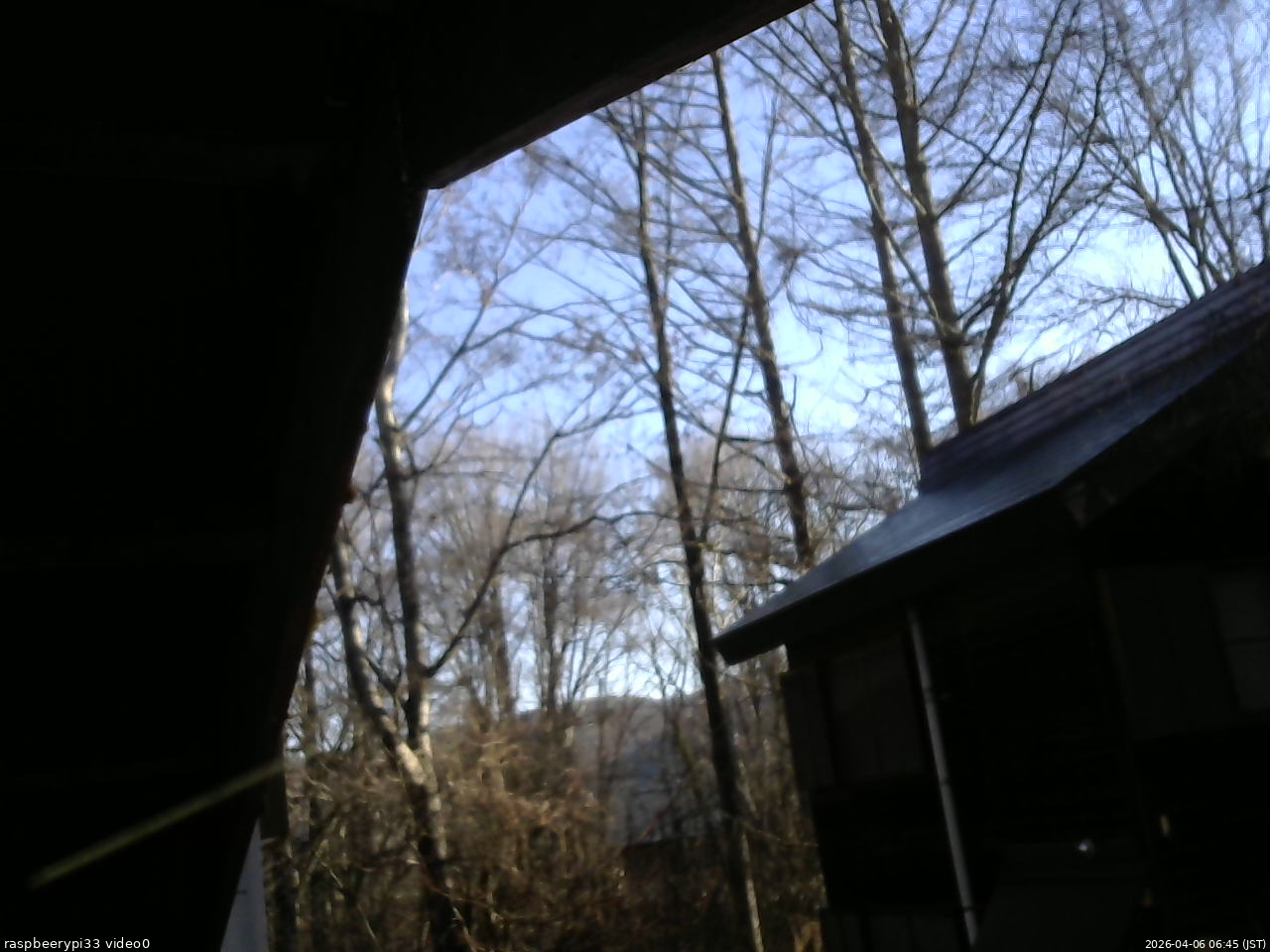 長野県菅平高原 ゆたか山荘 北側 2026/04/06 06:45