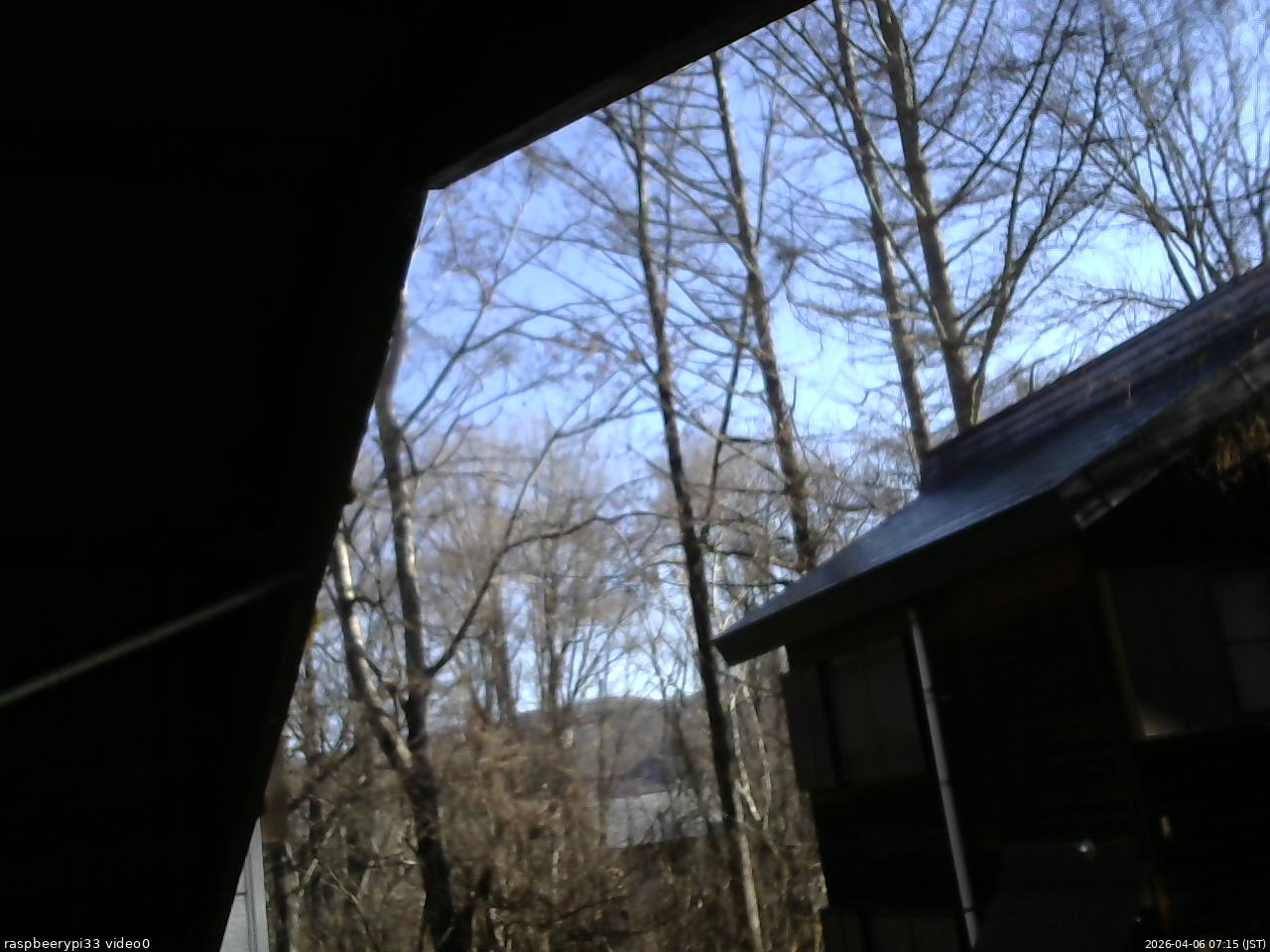 長野県菅平高原 ゆたか山荘 北側 2026/04/06 07:15