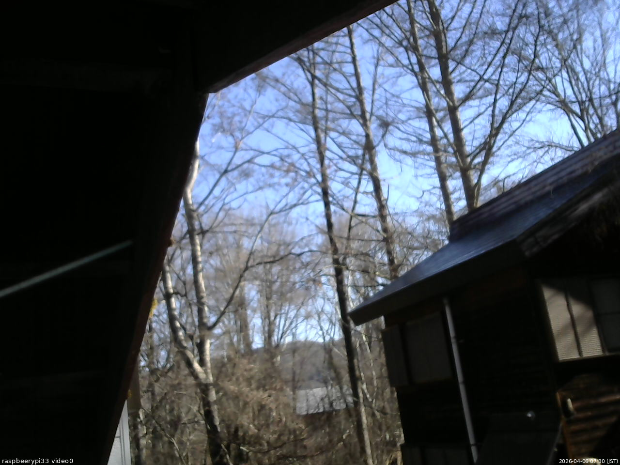 長野県菅平高原 ゆたか山荘 北側 2026/04/06 07:30