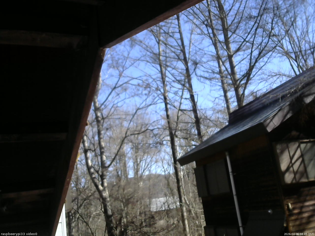 長野県菅平高原 ゆたか山荘 北側 2026/04/06 08:45