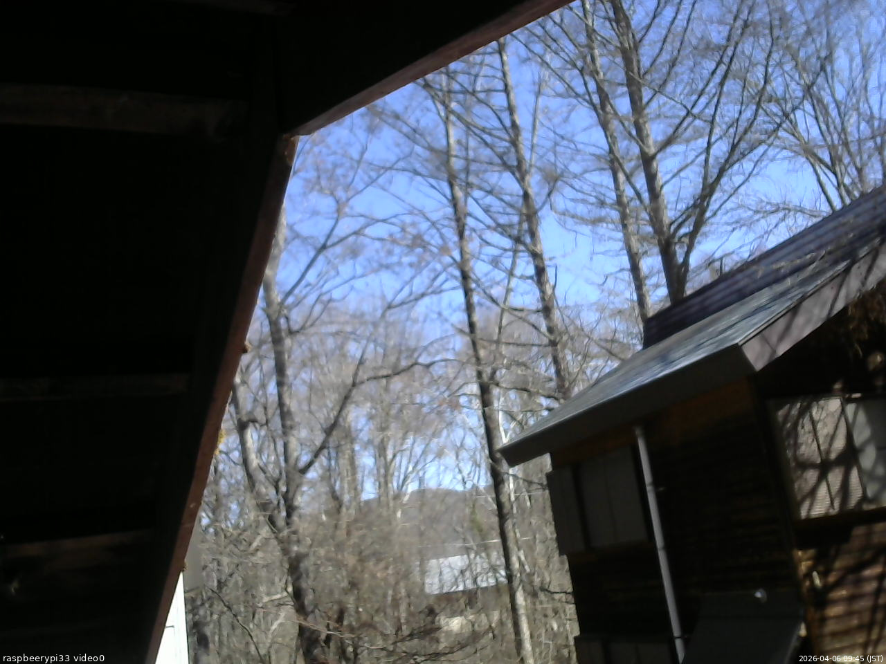 長野県菅平高原 ゆたか山荘 北側 2026/04/06 09:45