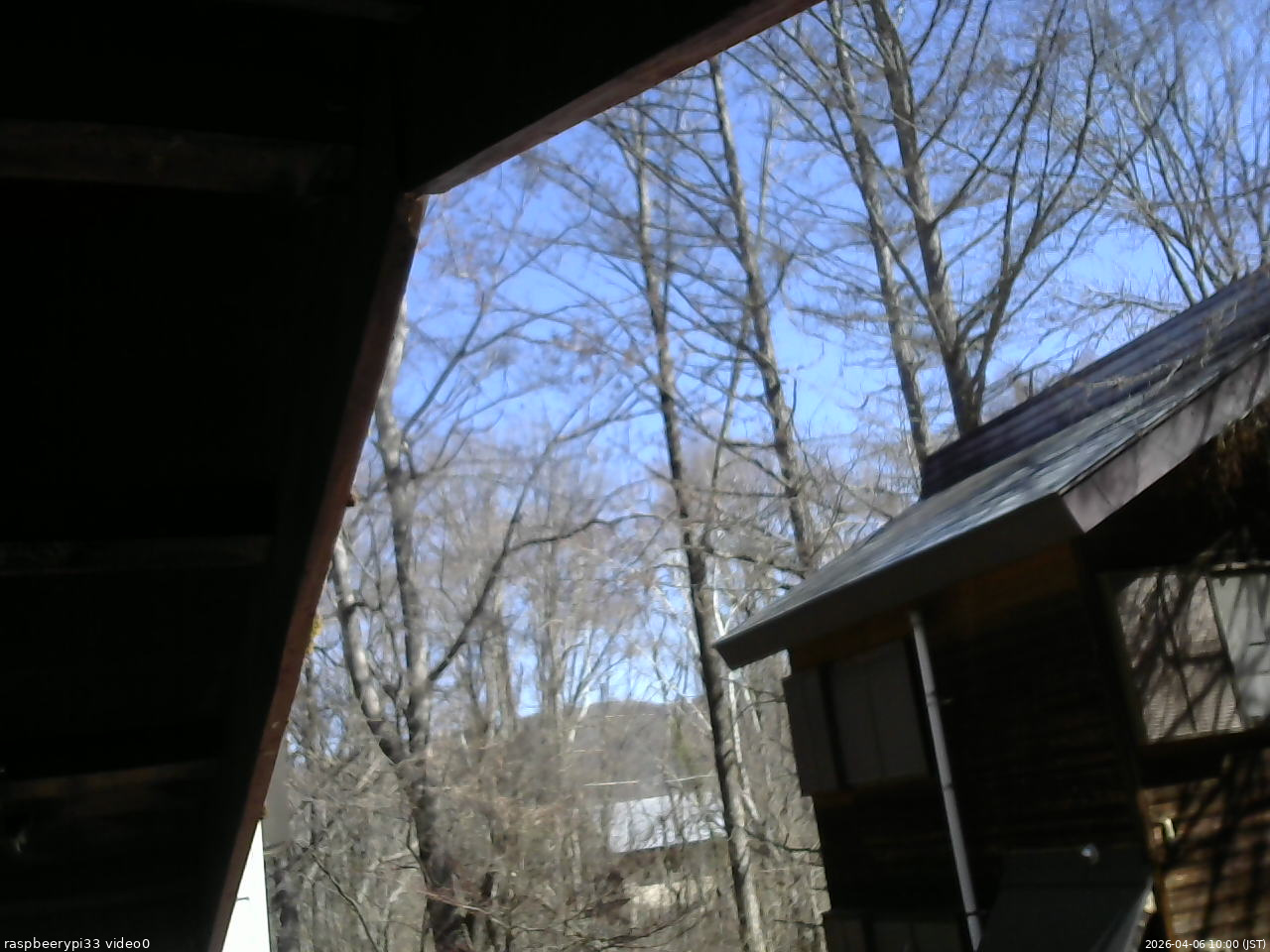 長野県菅平高原 ゆたか山荘 北側 2026/04/06 10:00