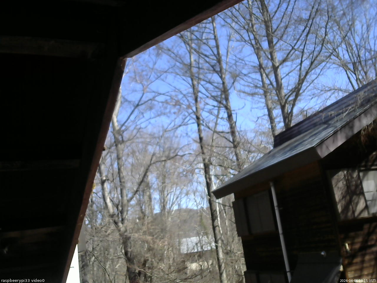 長野県菅平高原 ゆたか山荘 北側 2026/04/06 10:15