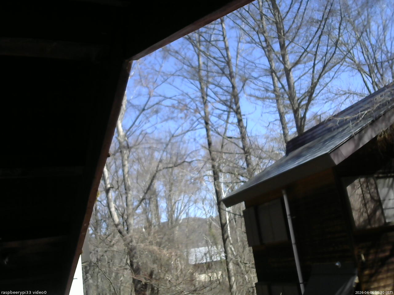 長野県菅平高原 ゆたか山荘 北側 2026/04/06 10:30