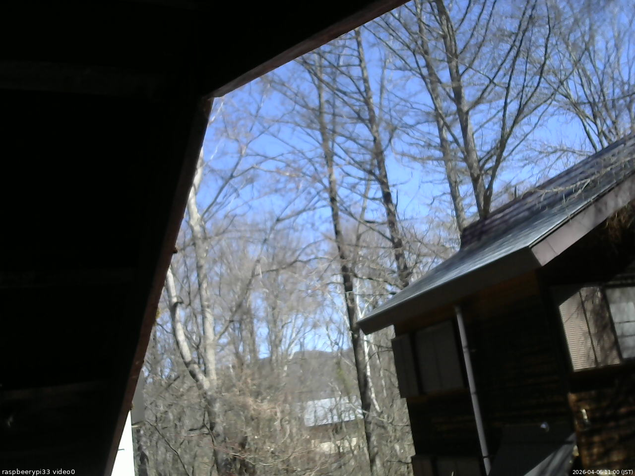 長野県菅平高原 ゆたか山荘 北側 2026/04/06 11:00