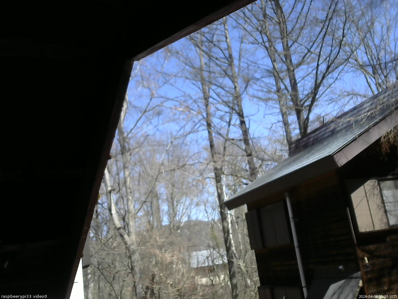 長野県菅平高原 ゆたか山荘 北側 2026/04/06 11:30