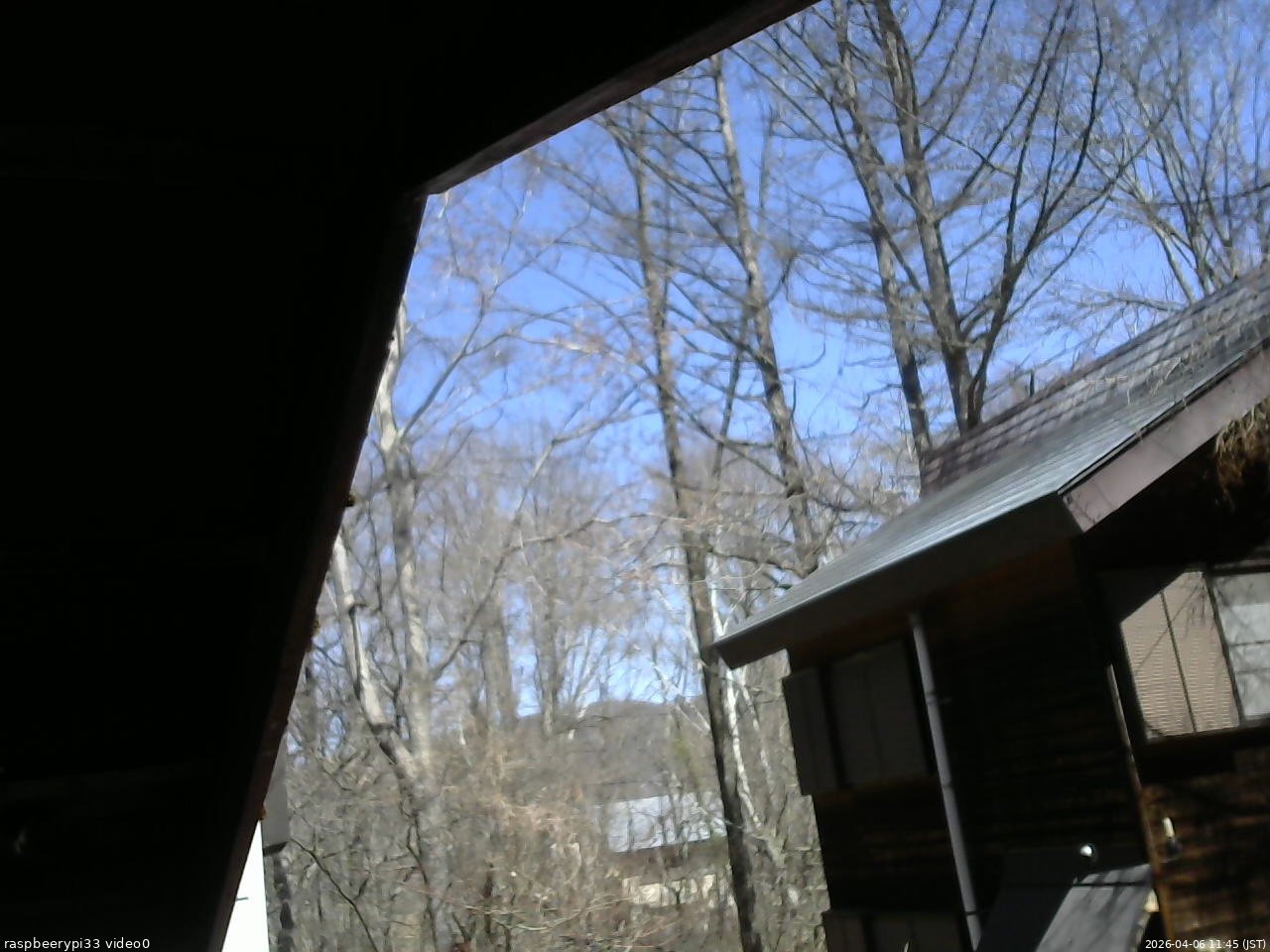 長野県菅平高原 ゆたか山荘 北側 2026/04/06 11:45