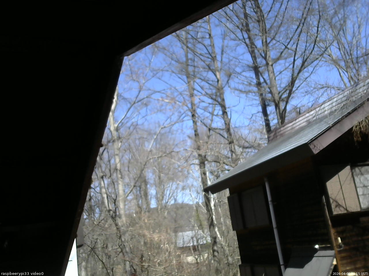 長野県菅平高原 ゆたか山荘 北側 2026/04/06 12:15