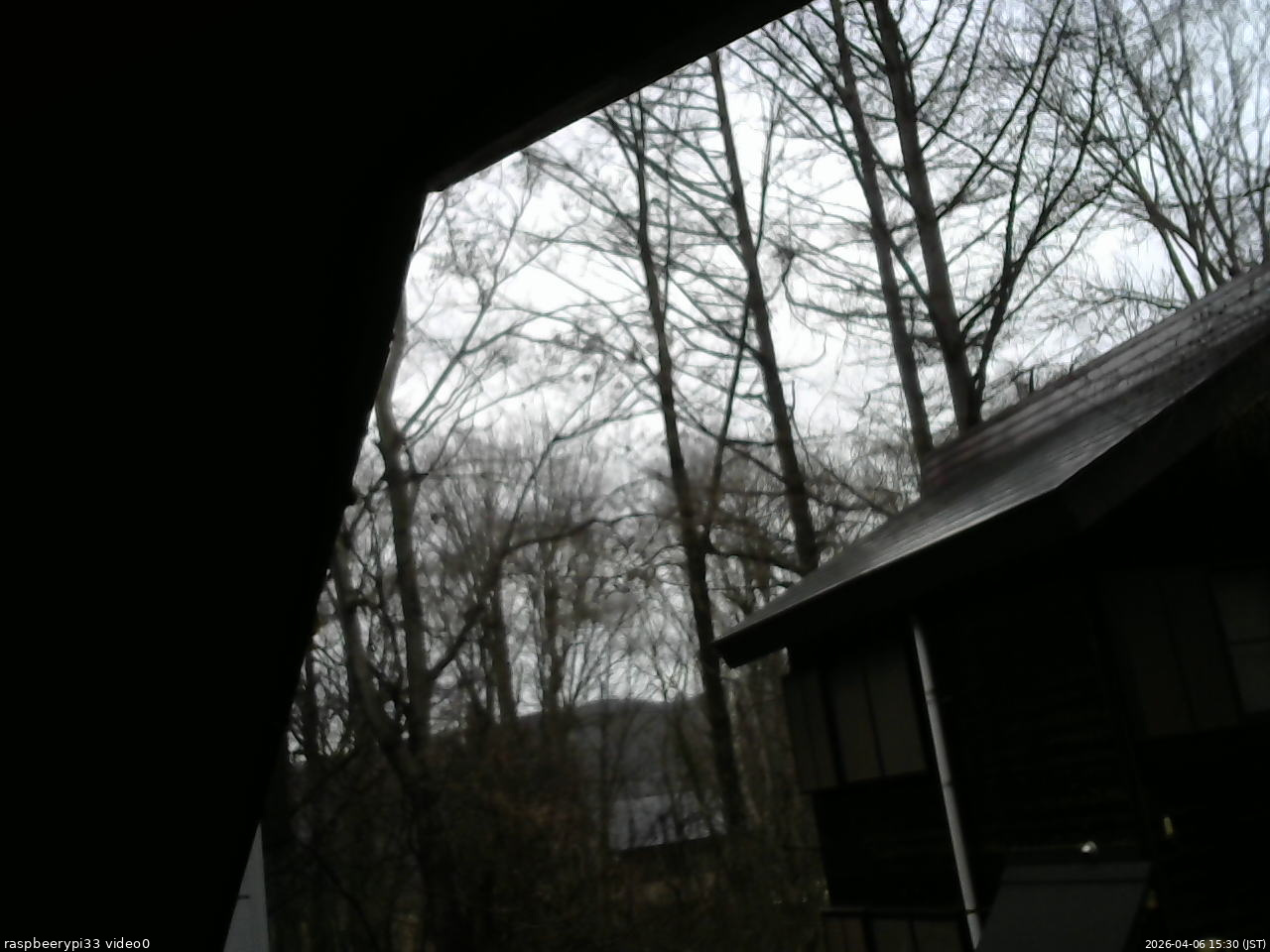 長野県菅平高原 ゆたか山荘 北側 2026/04/06 15:30