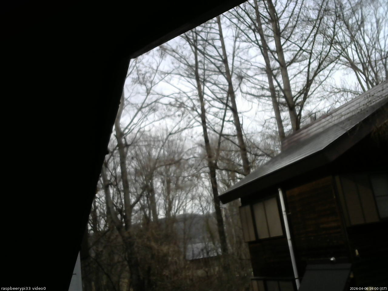 長野県菅平高原 ゆたか山荘 北側 2026/04/06 16:00