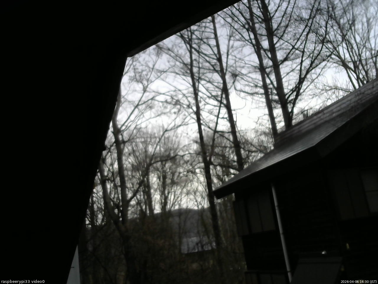 長野県菅平高原 ゆたか山荘 北側 2026/04/06 16:30