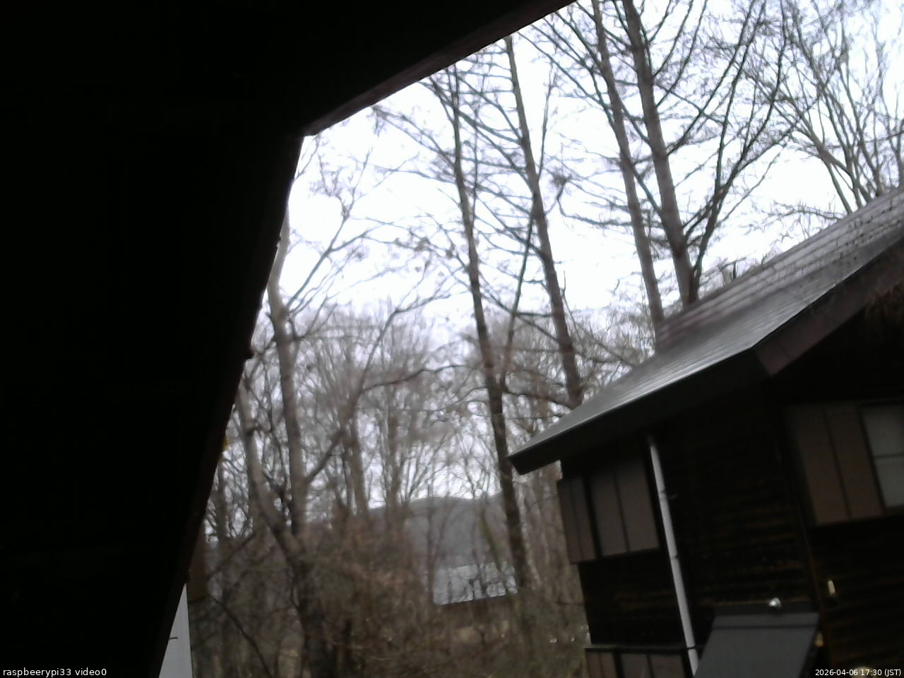 長野県菅平高原 ゆたか山荘 北側 2026/04/06 17:30