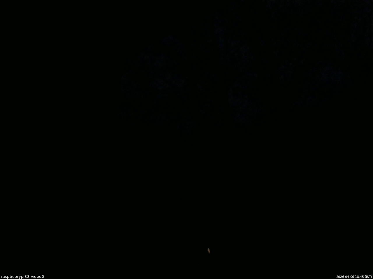 長野県菅平高原 ゆたか山荘 北側 2026/04/06 18:45