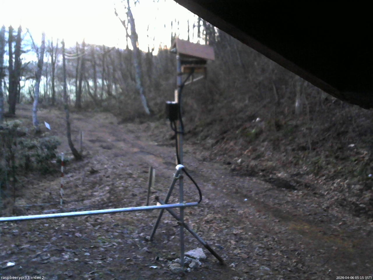 長野県菅平高原 ゆたか山荘 南側 2026/04/06 05:15