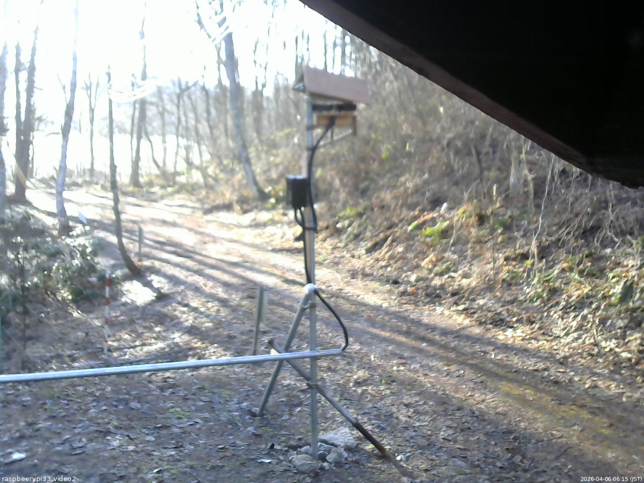 長野県菅平高原 ゆたか山荘 南側 2026/04/06 06:15