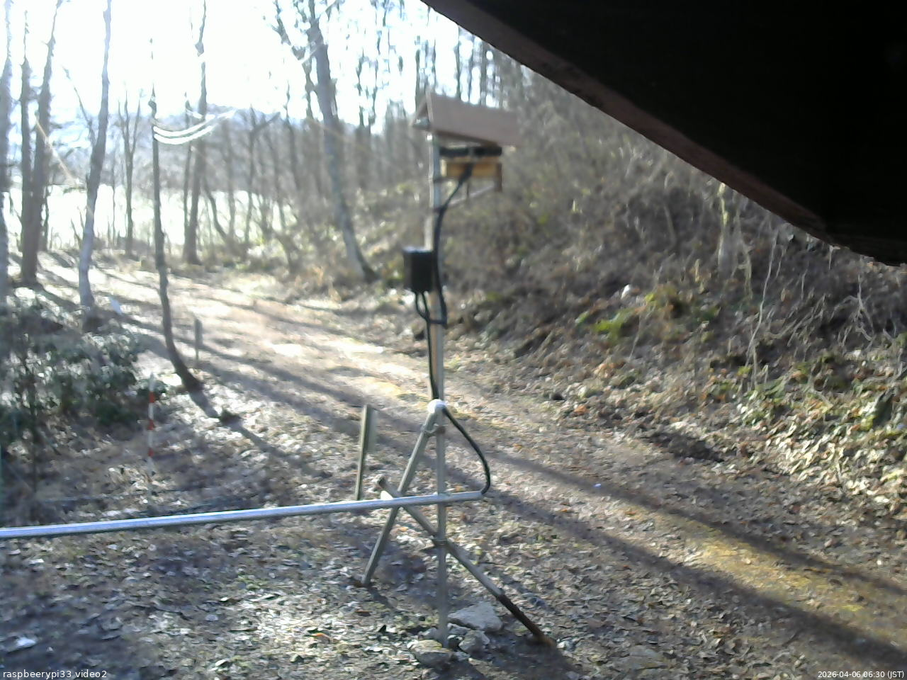 長野県菅平高原 ゆたか山荘 南側 2026/04/06 06:30