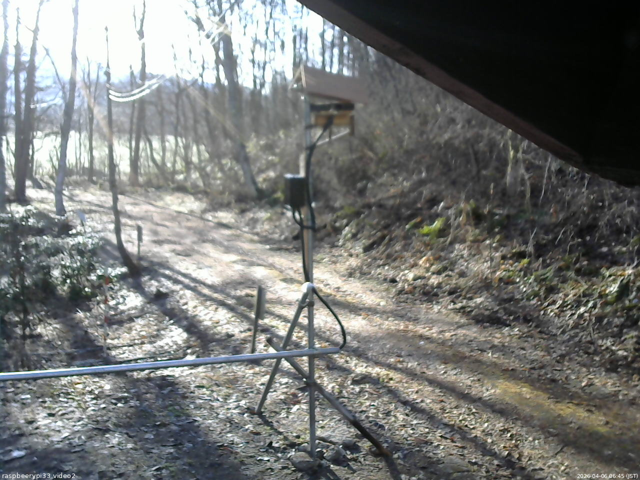 長野県菅平高原 ゆたか山荘 南側 2026/04/06 06:45
