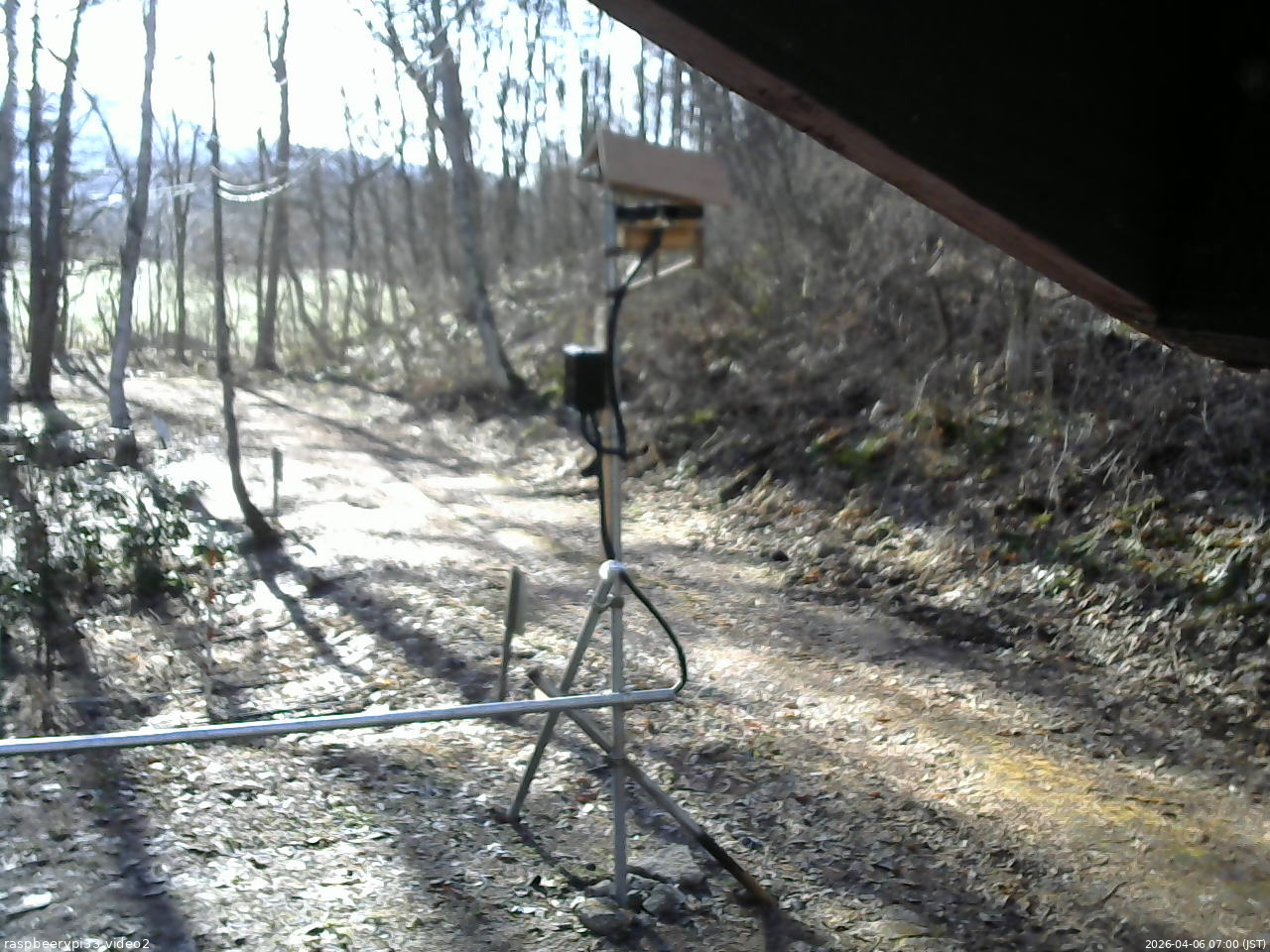 長野県菅平高原 ゆたか山荘 南側 2026/04/06 07:00