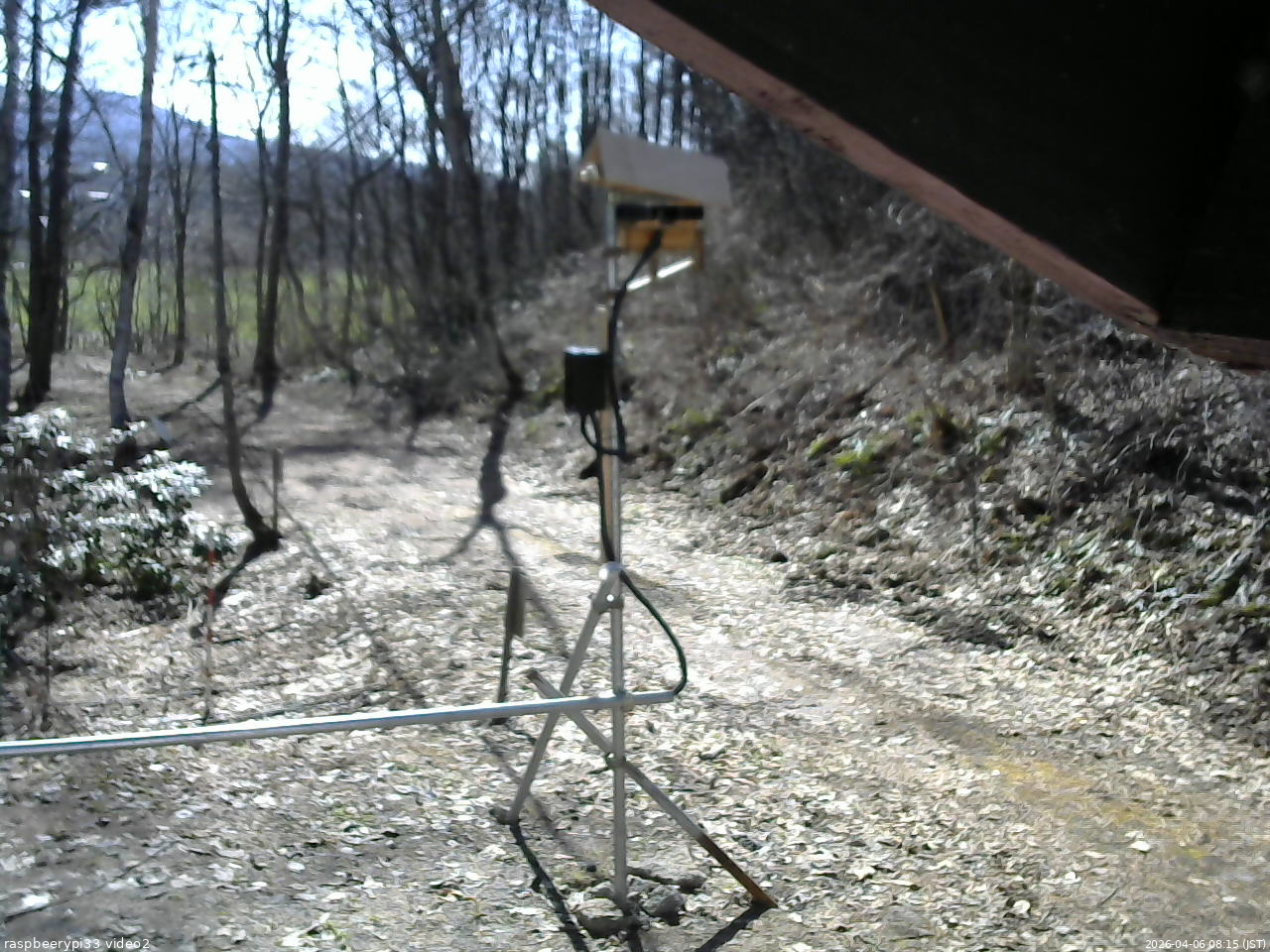 長野県菅平高原 ゆたか山荘 南側 2026/04/06 08:15