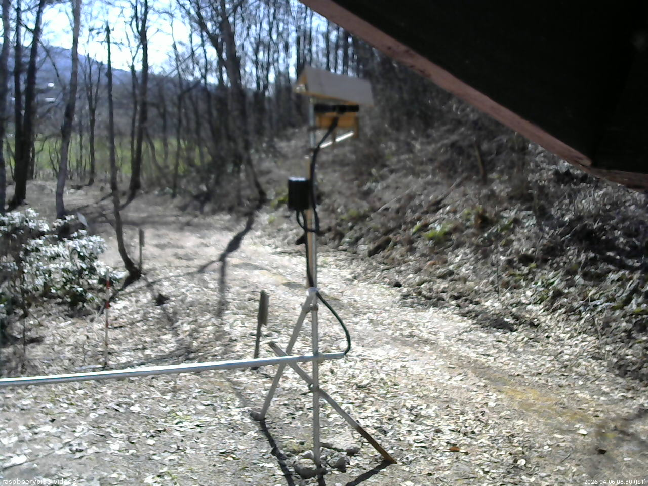 長野県菅平高原 ゆたか山荘 南側 2026/04/06 08:30
