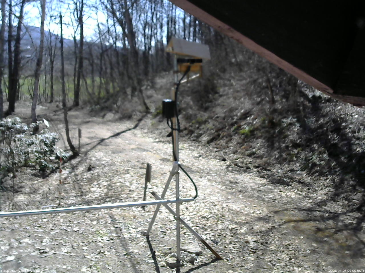 長野県菅平高原 ゆたか山荘 南側 2026/04/06 09:00