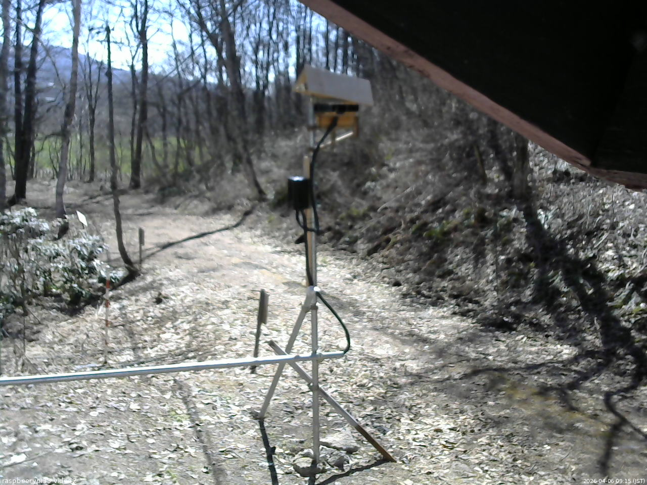 長野県菅平高原 ゆたか山荘 南側 2026/04/06 09:15
