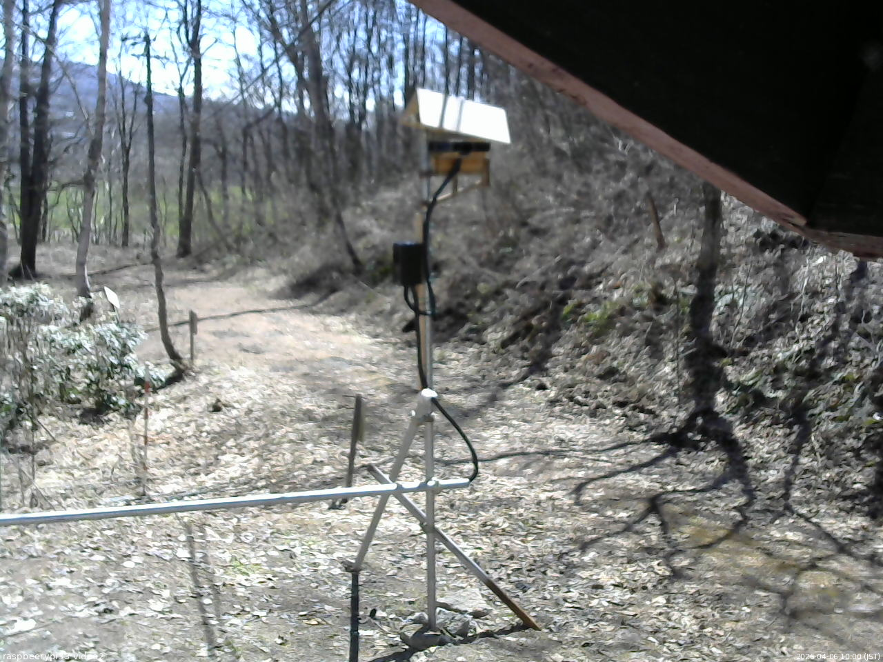 長野県菅平高原 ゆたか山荘 南側 2026/04/06 10:00
