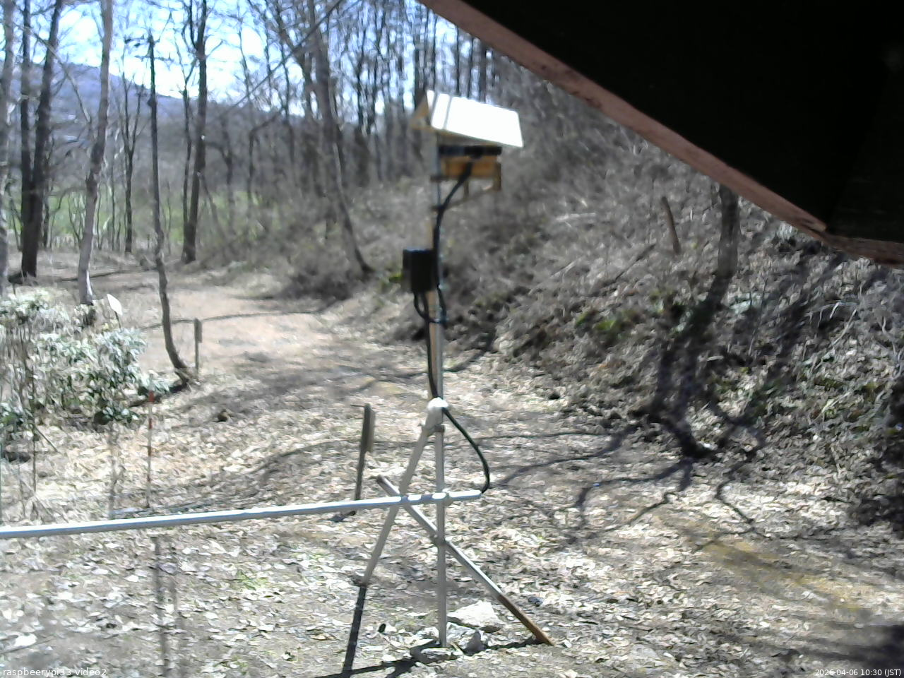 長野県菅平高原 ゆたか山荘 南側 2026/04/06 10:30